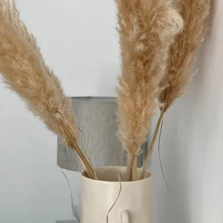 Pure - Luxury At Pure Living In Center 4*