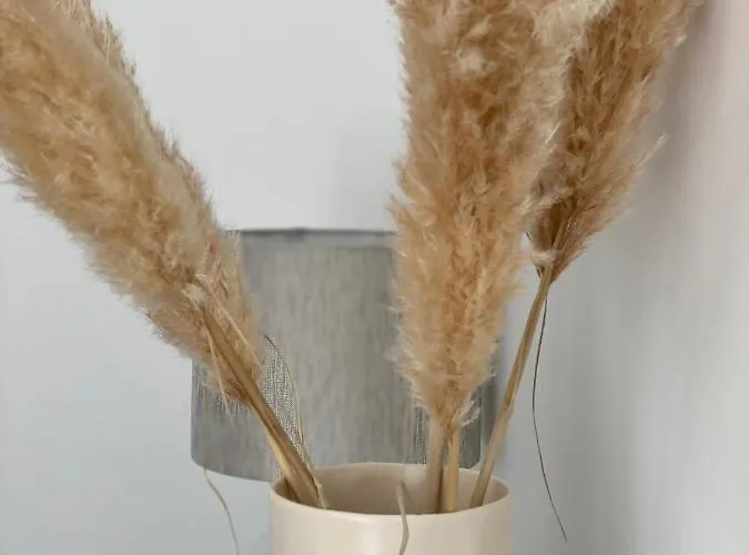 Pure Berlin Apartments - For Up To 5 Guests Near Uber Arena, Central, Stylish 4*